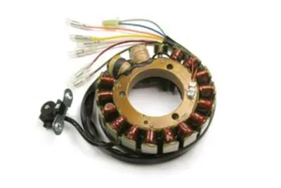 Kawasaki ZX 6R Ninja Lichtmaschine Kostenfreie Lieferung