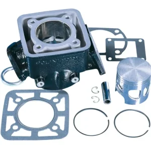 Zylinderkit Polini Aluminium Sport 100ccm für Yamaha DT 80 LC Expressversand