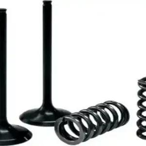 Expressversand Honda CRF 450 R Ventilset Stahl Pro X Einlassventile 02-08