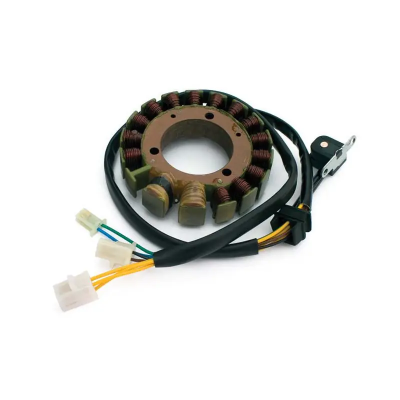 Kracherpreis Suzuki DR 800 Lichtmaschine / Zündung