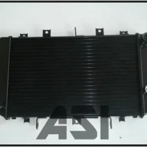 Kawasaki Z 750 und Z 750 S Kühler 04-07 Rabatt