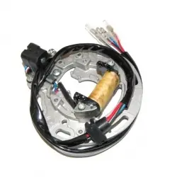 Echt Kawasaki KX 100 Stator 92-00