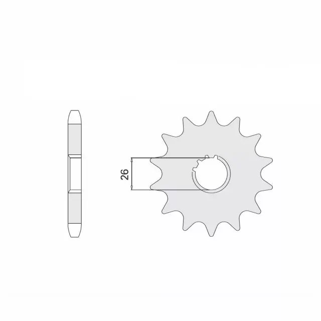 Direkt Vom Hersteller Ritzel 16 Zähne Teilung 530 passend für Triumph