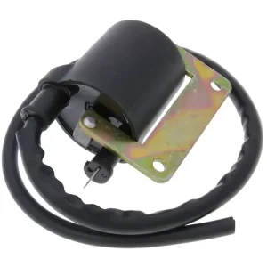 Nur Heute Zündspule für Vespa Citta, Ciao, SI, Puch Maxi