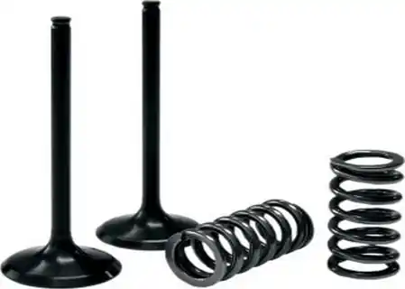 Honda CRF 250 R Ventilset Stahl Pro X Einlassventile 08-09 Super-Preis