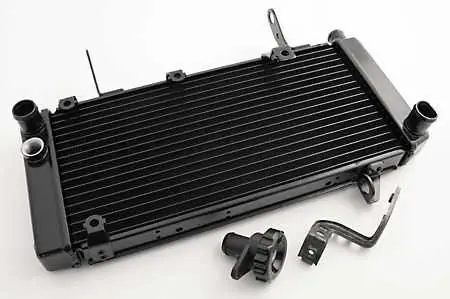 Suzuki SV 1000 S Kühler 03-08 Online Kaufen
