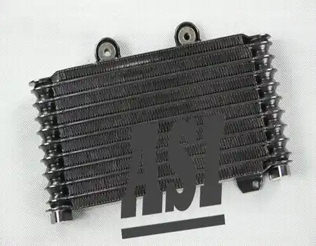 Suzuki GSF 600 Bandit Ölkühler 1995-1999 Highlight