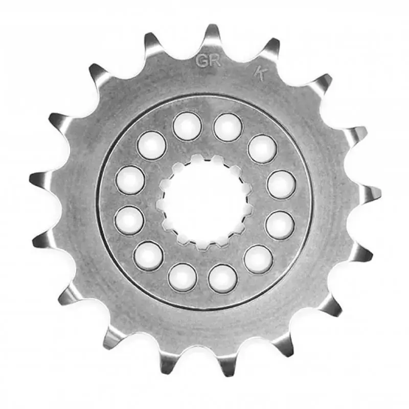 Gandini Racing 520 Ritzel passend für Kawasaki Modelle Bestpreis