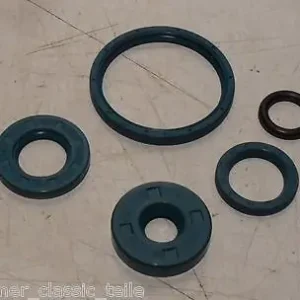 Neuheit Spartamet Saxonette  Sachs Motor 301  Wellendichtringe Simmerringe Motor