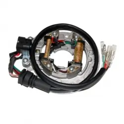 Saisonangebot Kawasaki KX 125 Stator 92-97