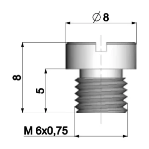 Letzte Chance Vergaser Hauptdüse Polini 6mm für Dellorto Vergaser - 184