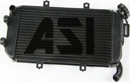 Kawasaki EX 650 Ninja Kühler 06-08 Abverkauf