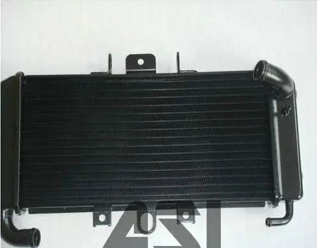 Neu Yamaha FZS 600 Fazer Kühler 1998-2003 Fazer