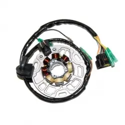 Schneller Versand Kawasaki KX 125 Lichtmaschine ab 2003