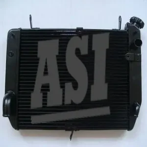 Yamaha R1 2002-2003 Kühler Nur Für Kurze Zeit