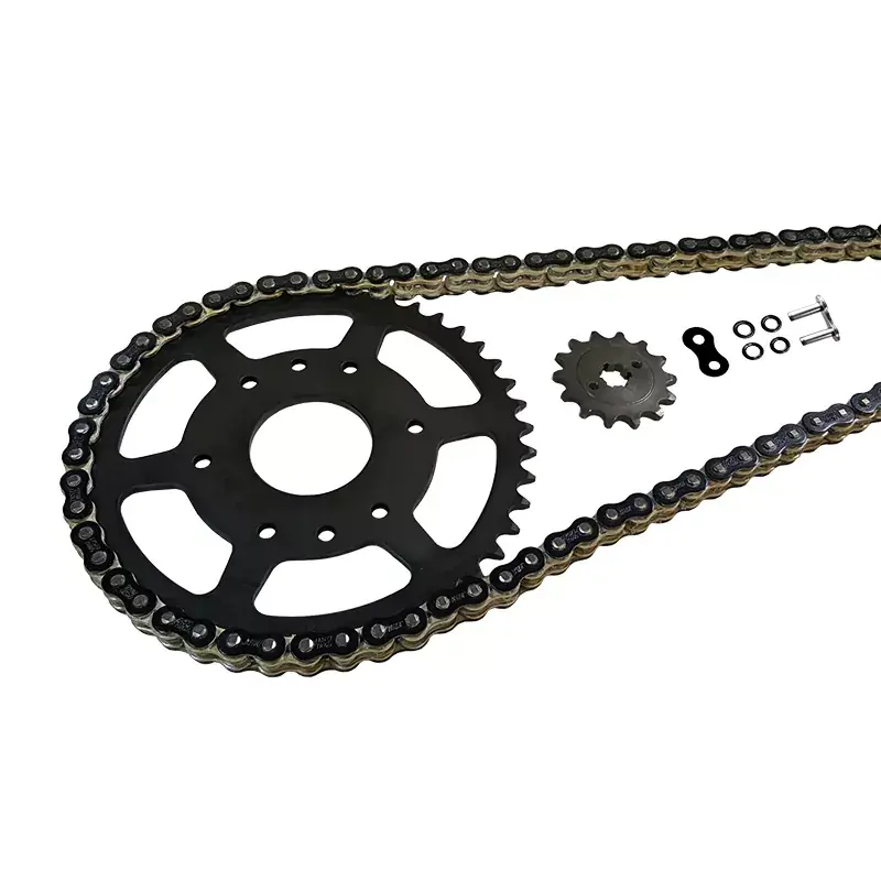 EK Chain Kettensatz 520 MVXZ-2 passend für Voge 500 R 2021-2023 Farbe Schwarz Super-Preis