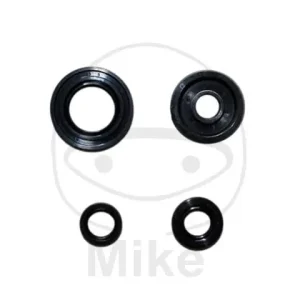 Neue Kollektion Yamaha WR 125 Motorsimmerringsatz