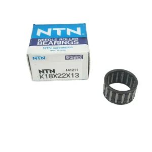 Saxonette Spartamet Nadellager K18 x 22 x 13 NEU Super-Preis