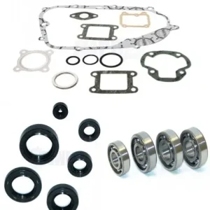 Markenware Yamaha DT RD TY 50 Motor Überholsatz Revision Lager Dichtung NEU
