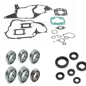 Honda NSR 50 MTX wassergekühlt Motorüberholsatz Revision Kit NEU Top-Seller