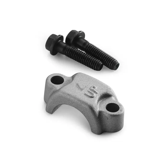 SCHELLE KPL. NATUR Echt