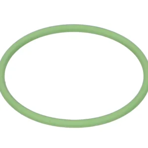 O-Ring Schmitt FPM75 grün für Ansaugstutzen Kostenloser Versand