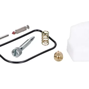 Vergaser Revisionskit für Dellorto SHA 12, SHA 13 Finale Aktion