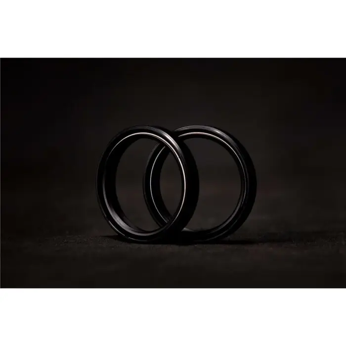 Fork oil seal Sonderaktion