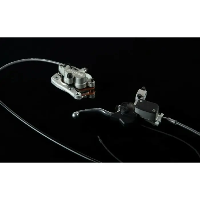 Front brake assembly Echt