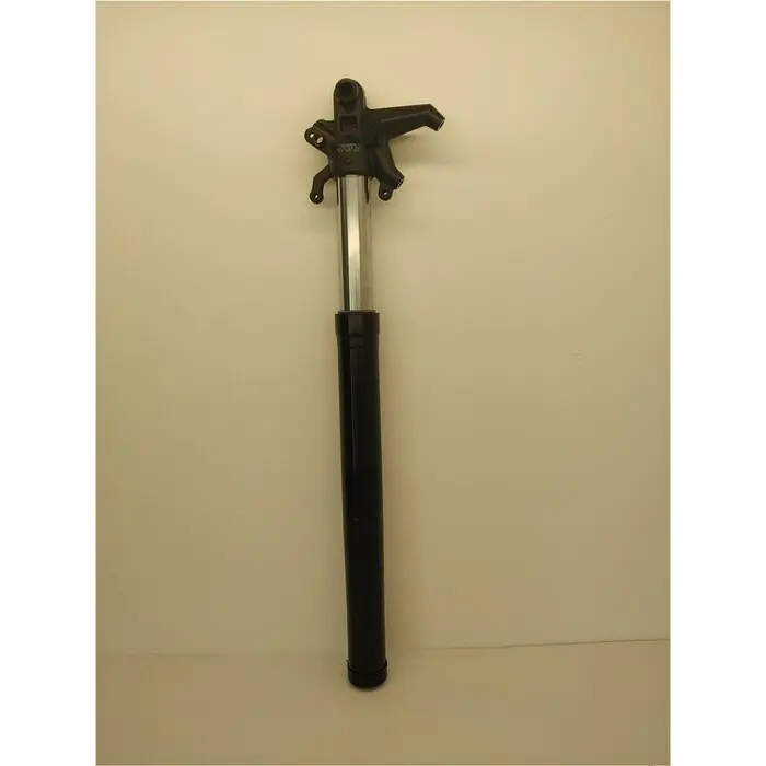 Echt Gabelbein Links Gebraucht