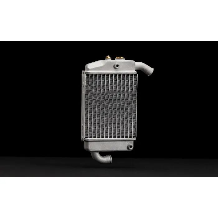 Radiator assembly Sichere Zahlung