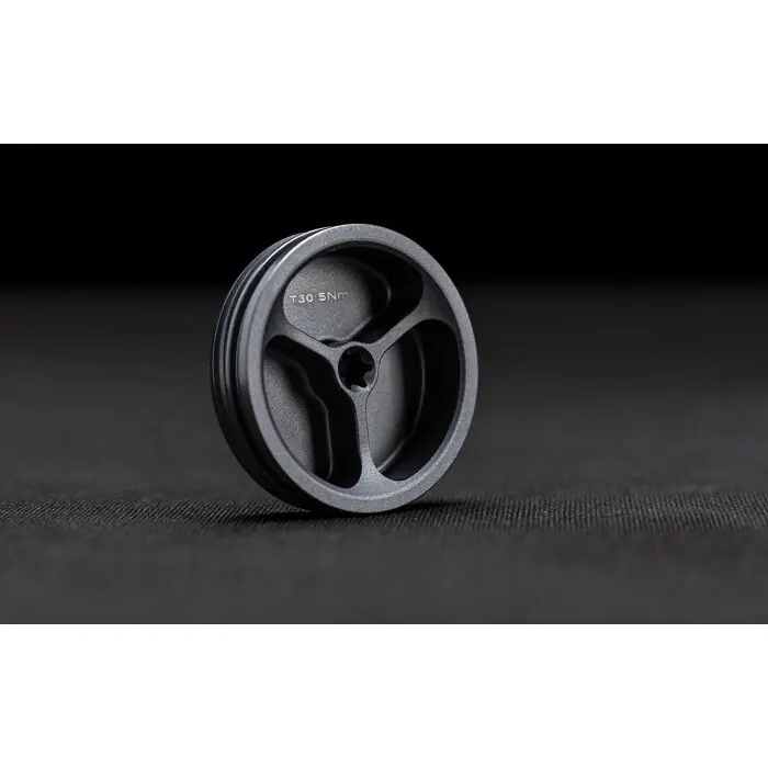 Super-Preis Swingarm side cap Aluminum