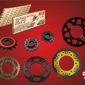 Ausverkauf DID Rennkettensatz passend für Ducati 1000 SS / DS Bj 03 bis 07 mit DID520 Racing Kette