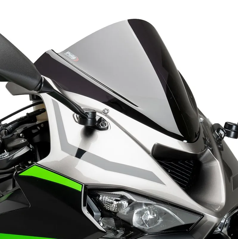 Günstig Puig Race Side Spoiler 21858N